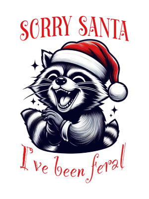 Feral Racoon at Christmas - 143