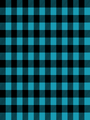 Sky Blue Buffalo Plaid